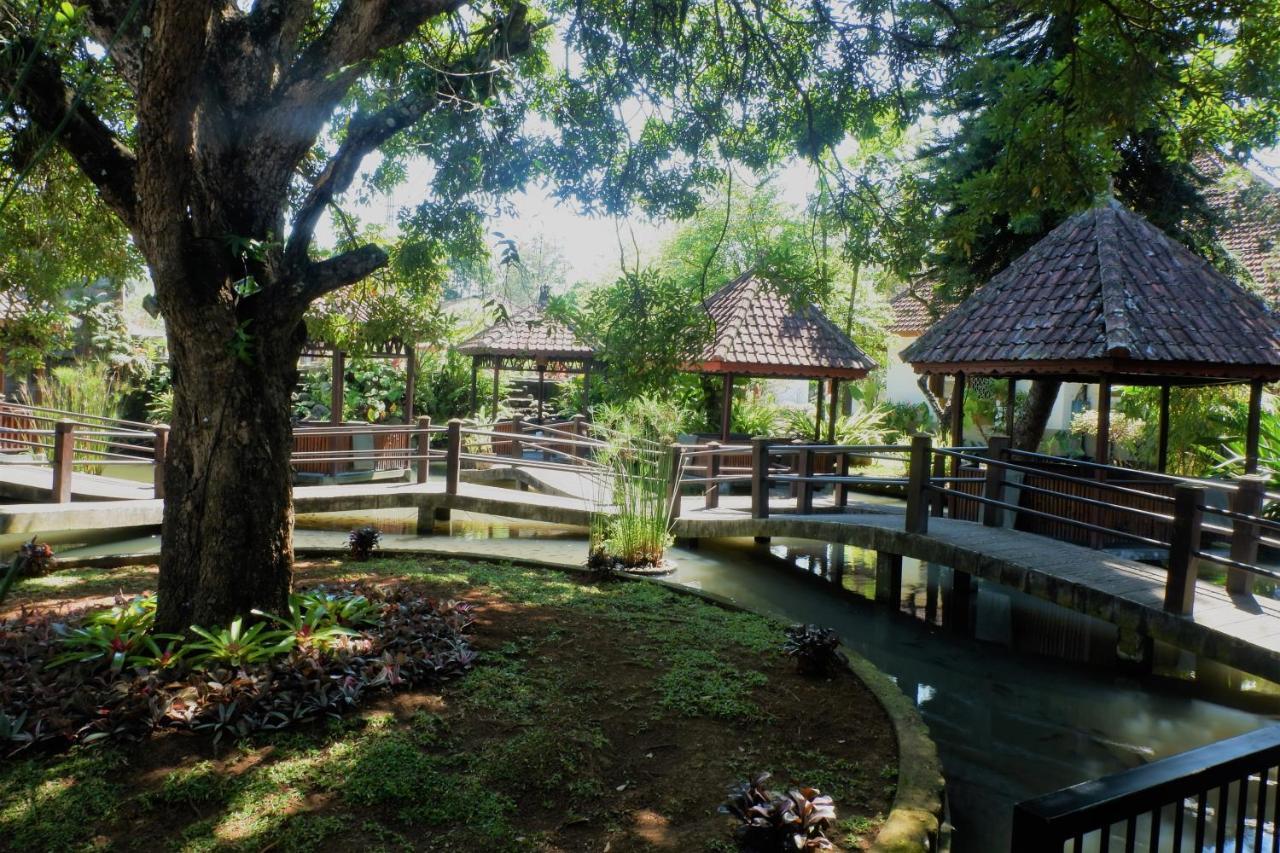 Hotel Minak Jinggo Banyuwangi  Exteriér fotografie